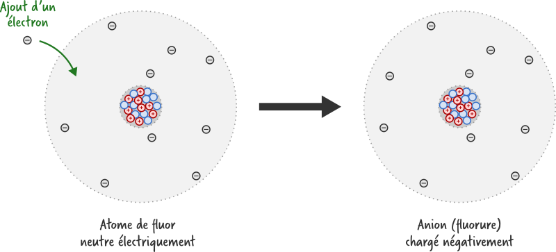 Structure d’un anion