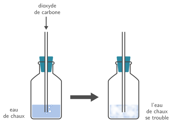 Utilisation de l’eau de chaux